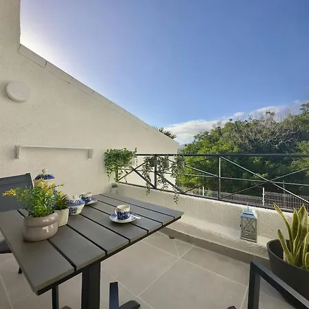 Modern 1b - Torviscas Daire *